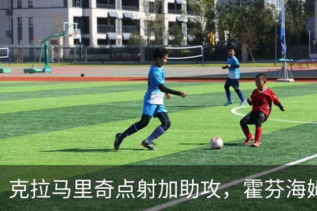 克拉马里奇点射加助攻，霍芬海姆2球拿下勒沃库森