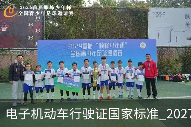 电子机动车行驶证国家标准 2027 年 4 月 1 日实施！全国通用更便捷