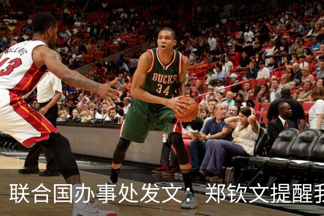联合国办事处发文：郑钦文提醒我们，挫折并不是故事的终点