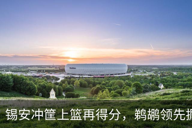 锡安冲筐上篮再得分，鹈鹕领先掘金20+