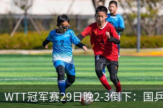 WTT冠军赛29日晚2-3倒下：国乒第2败！首输外战 国乒3人进男单16强